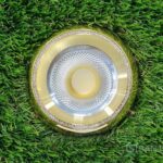 Ojo de Buey Dorado 3 Color