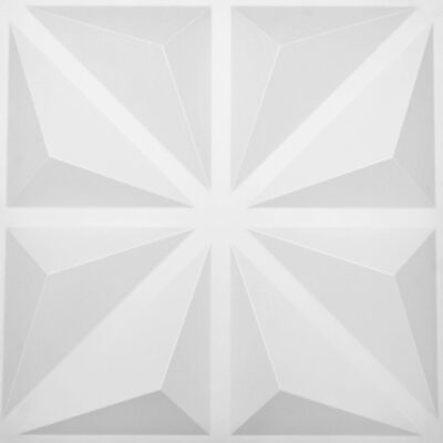 2b.Panel 3D Estrella