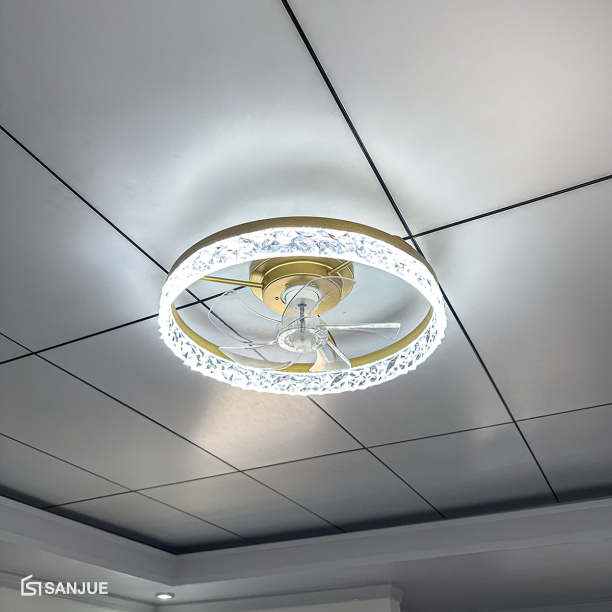 030-HJ-2406-G-CRYSTAL-GOLD-5